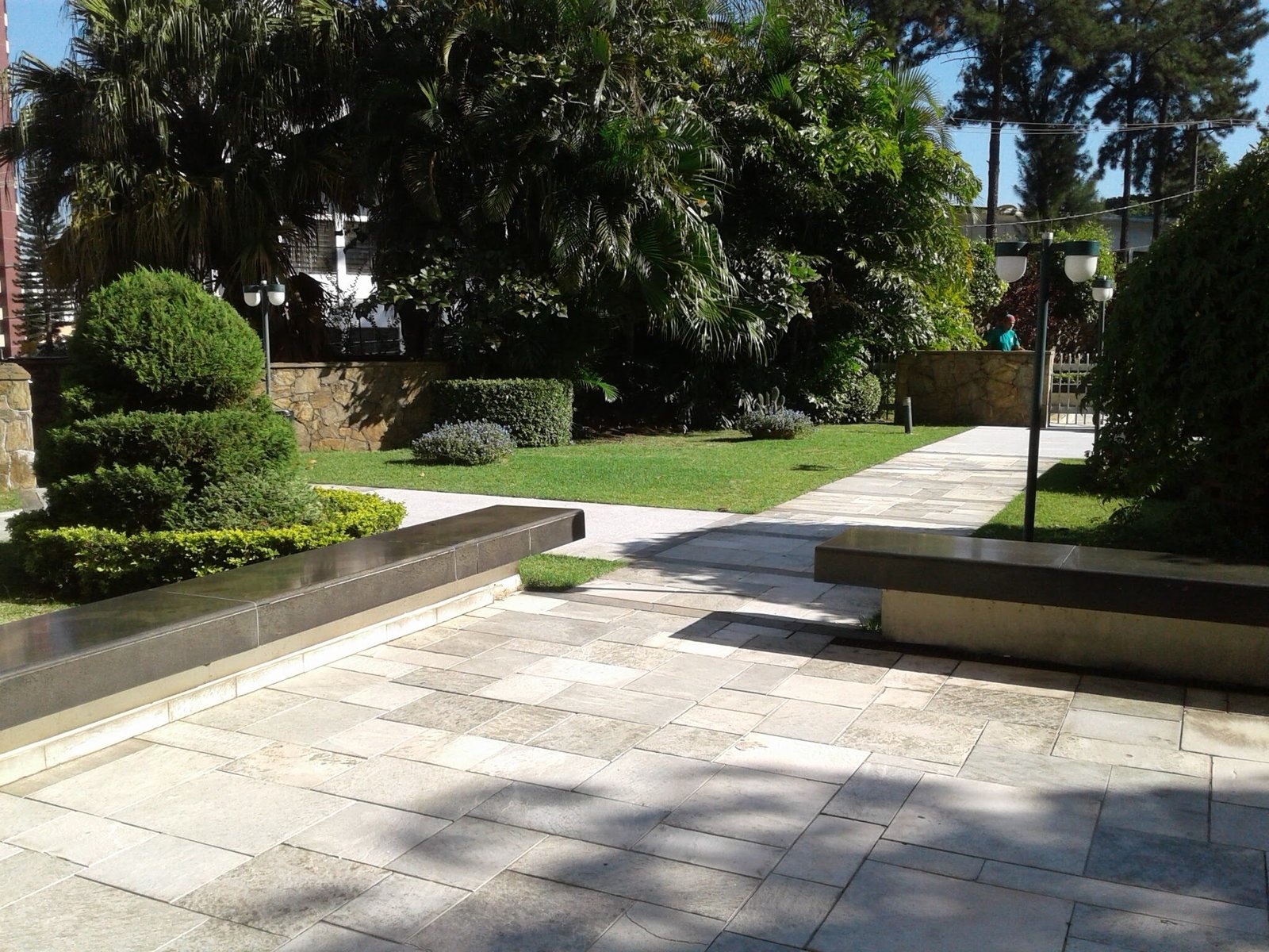 Manutenção de Jardins em São Paulo: Guia Completo para Síndicos e Condomínios