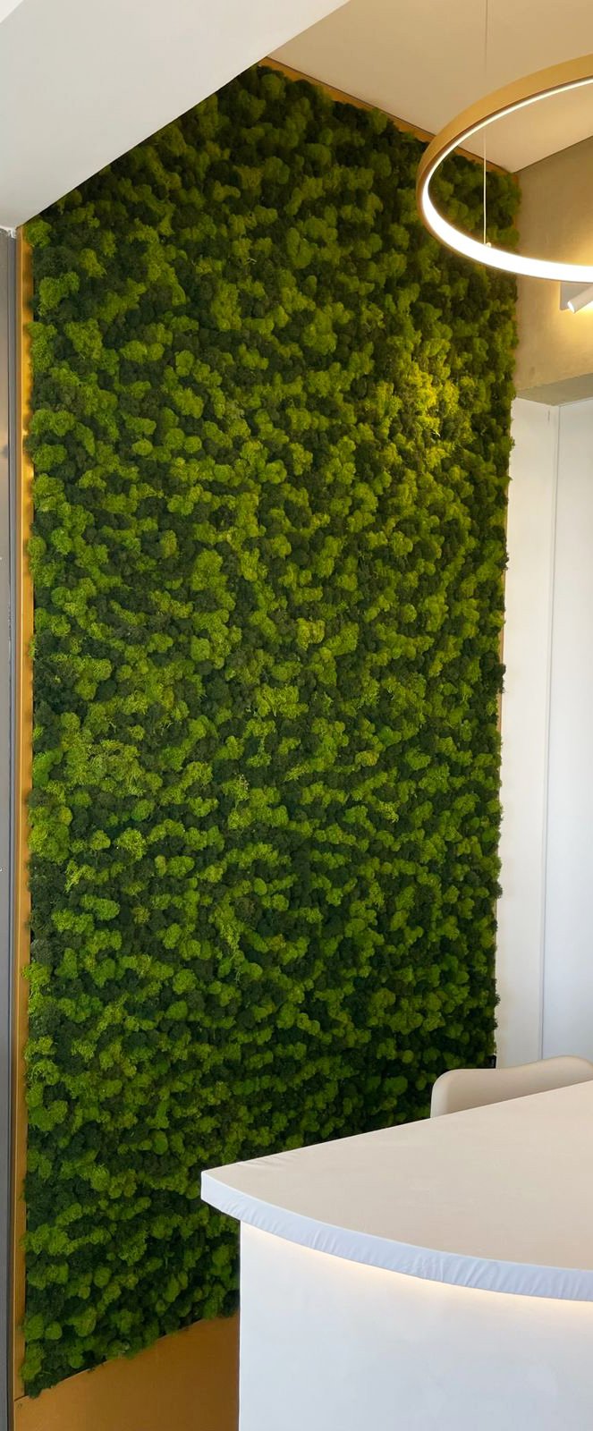 Painel verde com musgo e folhagens